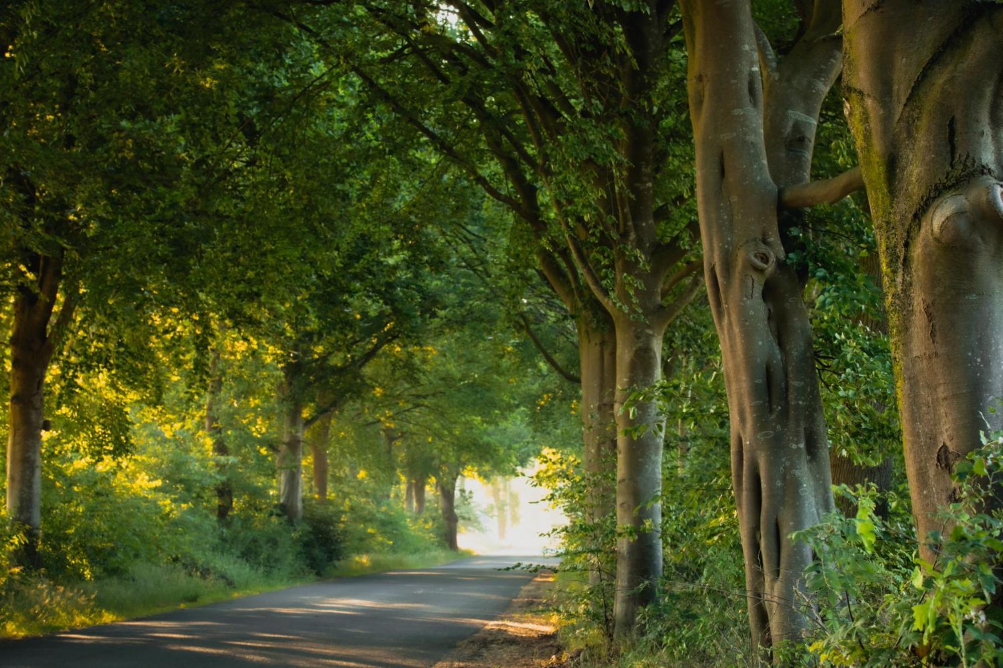 Drents Genieten - Kraaiheide Erm Exterior foto